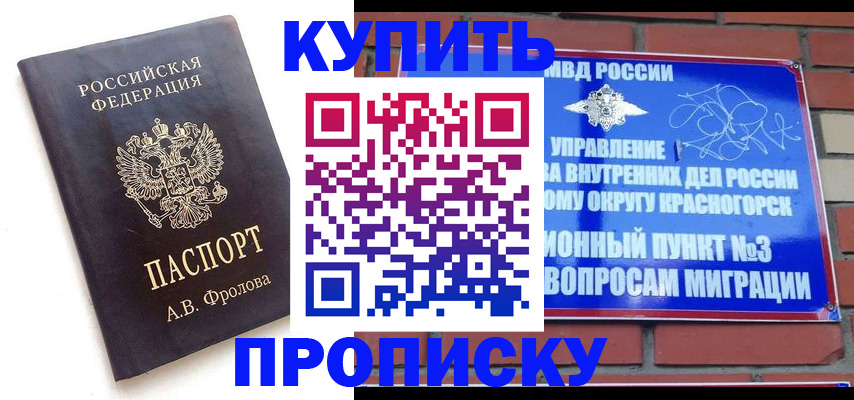 прописка поиск в Шадринске